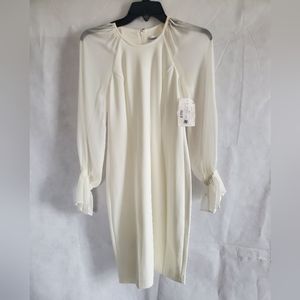 Calvin Klein Women's Ivory Sheer Long Sleeve   Dress Size 2P NWT